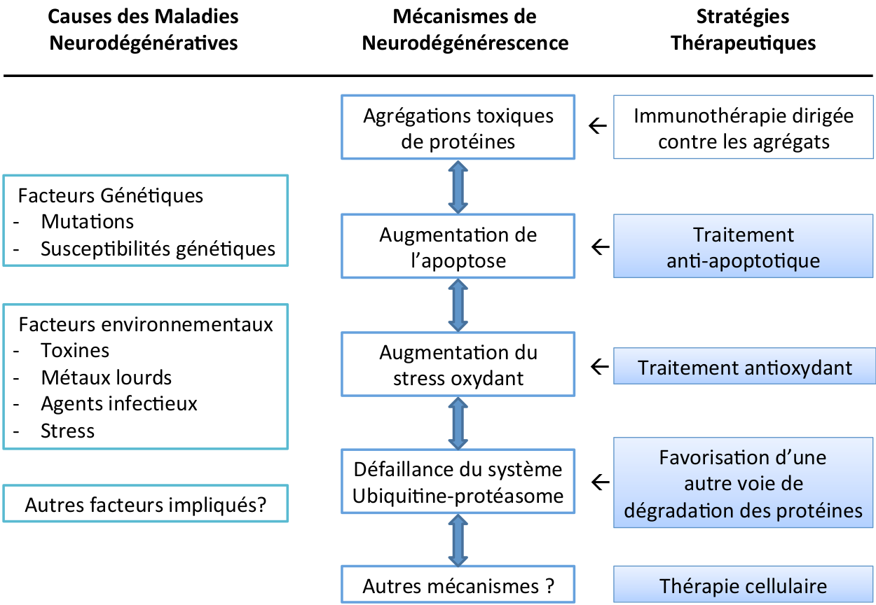 Les Maladies Neurodégénératives | Planet-Vie